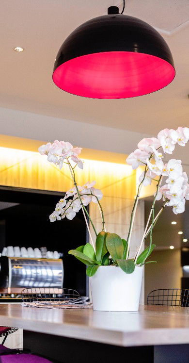 MRepublic Restaurant, Bar And Lounge - Taree Accommodation 4