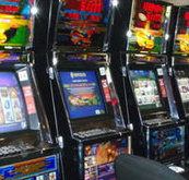 Katherine Country Club - Taree Accommodation