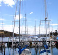 Oyster Cove Inn - Taree Accommodation