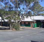 Cedars Tavern - Taree Accommodation