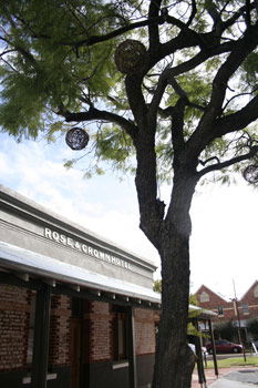 Rose And Crown - Taree Accommodation 1