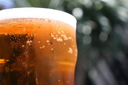 Greenwood Hotel - Taree Accommodation 2