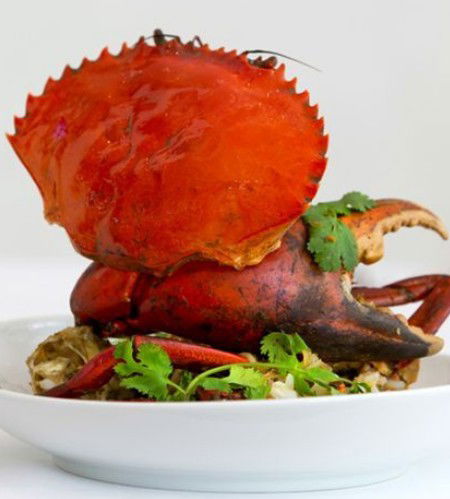 Noosa Beach House Peter Kuruvita - Taree Accommodation 3