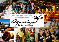 Aquarium - Taree Accommodation 0