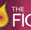 Pickled Fig - Taree Accommodation