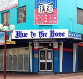 Blue to the Bone  - Taree Accommodation