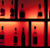 Glo Lounge Bar - Taree Accommodation