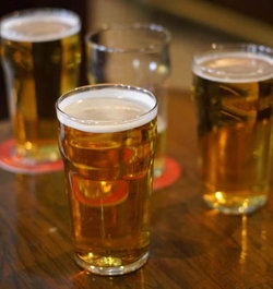 Shamrock Hotel Alexandra - Taree Accommodation 2