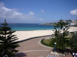 Aquarium - Taree Accommodation 2