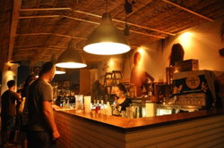 Aquarium - Taree Accommodation 3