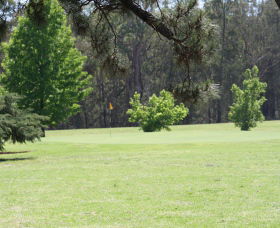 Spring Mountain ACT Taree Accommodation