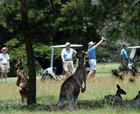 Newton Boyd NSW Taree Accommodation