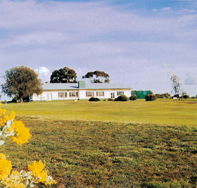 Lucindale Country Club - Taree Accommodation