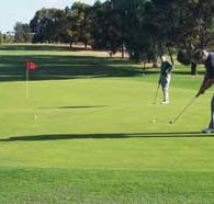 Waikerie Golf Club - Taree Accommodation