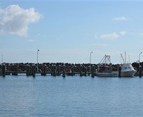 Harrington Bowling Club - Taree Accommodation 2