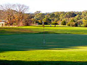 Oakbank Golf Club - Taree Accommodation 0