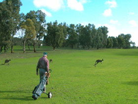Mount Dutton Bay SA Taree Accommodation