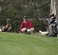 Tasmania Golf Club - The - Taree Accommodation