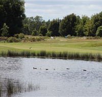 Llanherne Golf Club - Taree Accommodation