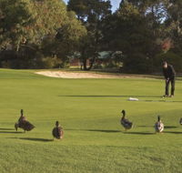 Royal Hobart Golf Club - Taree Accommodation