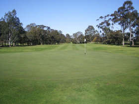 Maffra Golf Club - Taree Accommodation 0