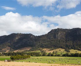Dewitt NSW Taree Accommodation