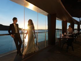 Hamilton Island Yacht Club - Taree Accommodation 2