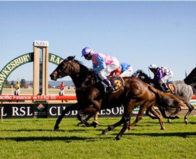 Hawkesbury Race Club - Taree Accommodation 1