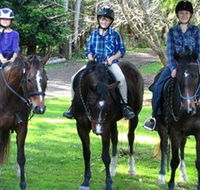 Kings Creek Saddle Club - Taree Accommodation