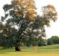 Cowra Golf Club - Taree Accommodation