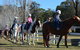 Horse Riding At Oaks Ranch And Country Club - thumb 3
