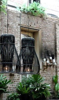 Gin Garden - Taree Accommodation 1