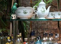 Gin Garden - Taree Accommodation 2