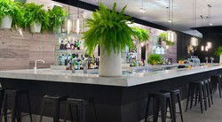 Ivy Bar - Taree Accommodation 2