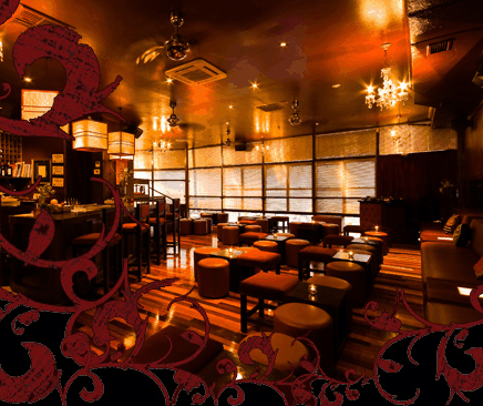 Hippo Lounge Bar - Taree Accommodation