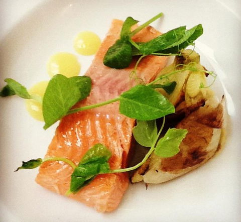 Botanic Gardens Restaurant - Taree Accommodation 2