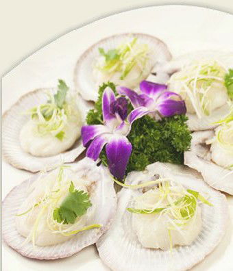 Neptune's Palace Seafood Restaurant - Taree Accommodation 2