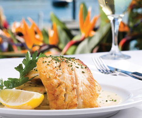 Nick's Seafood Restaurant - Taree Accommodation 0