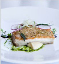 PJ's Irish Sports Bar & Bistro @ The Criterion Hotel - Taree Accommodation 0