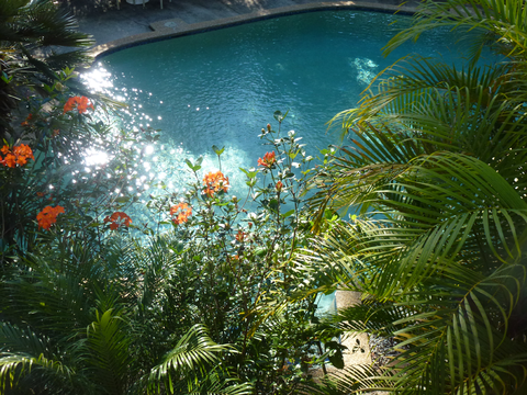 Avoca Beach Hotel - Taree Accommodation 1