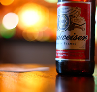 Johns River Tavern - Taree Accommodation