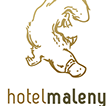 Maleny Hotel - Taree Accommodation