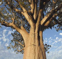 The Kimberley Grande - Taree Accommodation