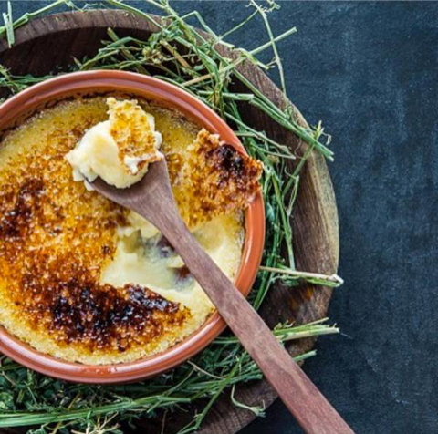 Bistro Officina - Taree Accommodation 3