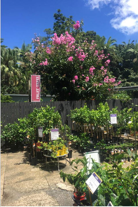 Limberlost Nursery & Garden Centre - Taree Accommodation 3