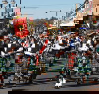 Australian Celtic Festival - Taree Accommodation