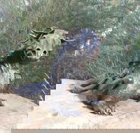 Bathurst Arts Trail - Taree Accommodation