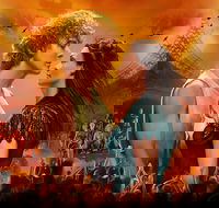 Bat Out Of Hell - Taree Accommodation