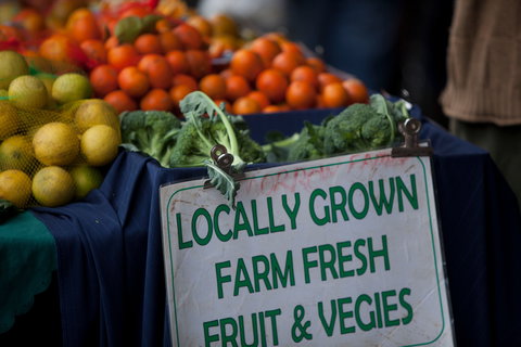 Blue Knob Community Market - Taree Accommodation 0
