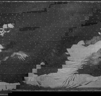 David Noonan Stagecraft - Taree Accommodation